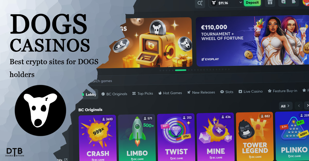 dogs casinos image